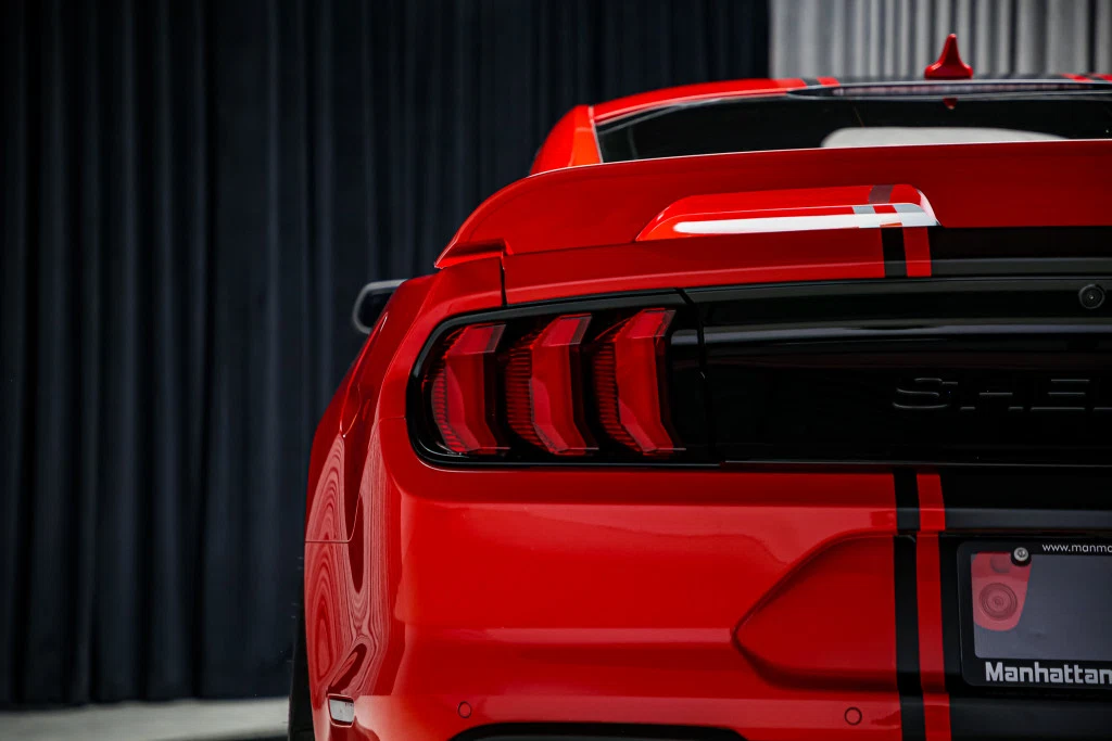 2021 Ford Mustang Shelby Super Snake (S550), 19/30