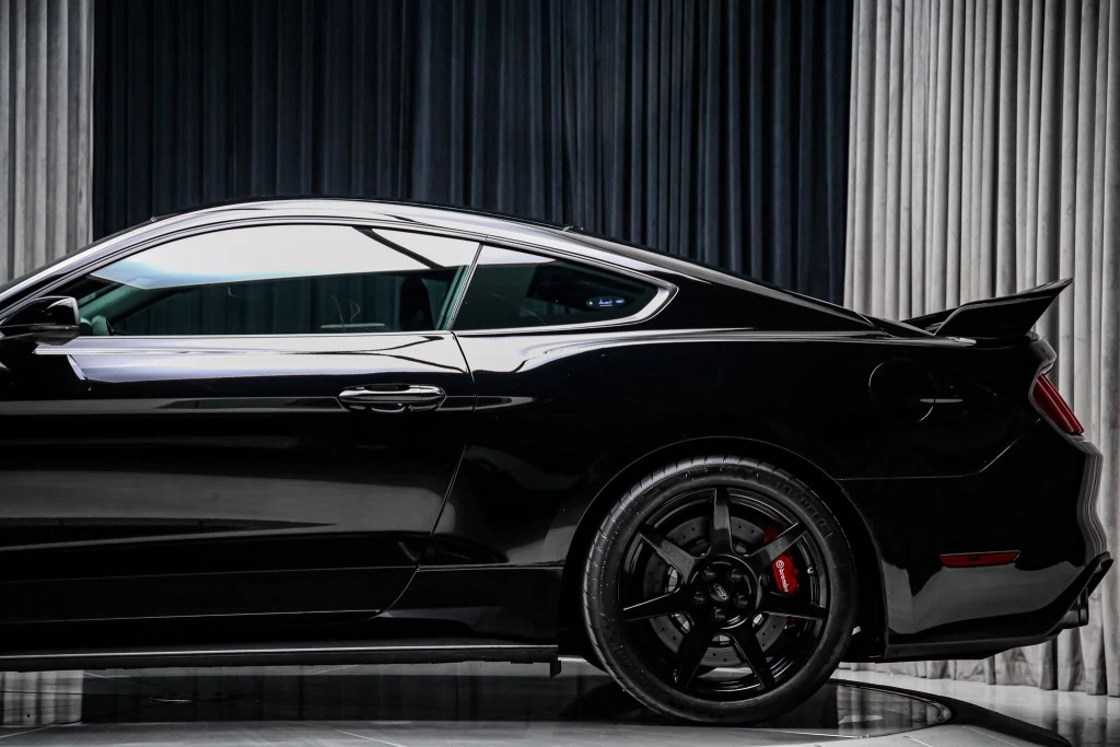 2016 Ford Mustang Shelby GT350 R, 17/30