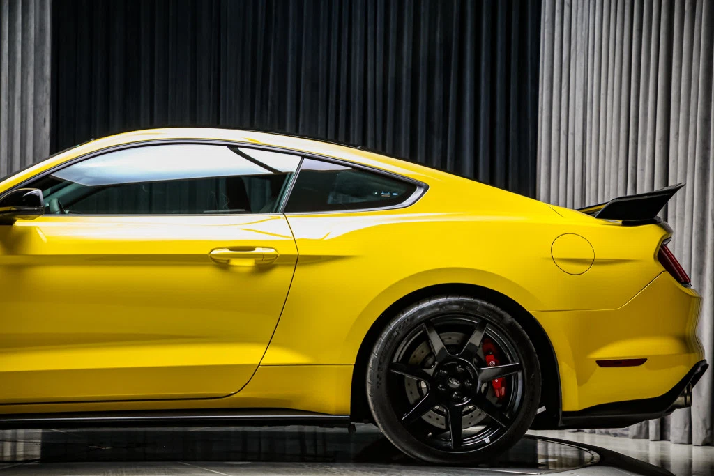 2017 Ford Mustang Shelby GT350 R, 17/30