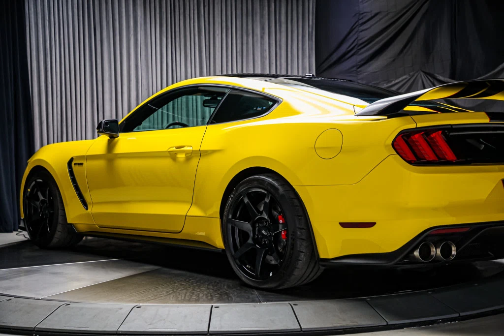 2017 Ford Mustang Shelby GT350 R, 19/30