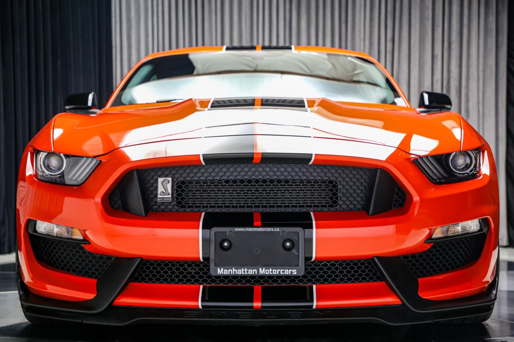 2016 Ford Mustang Shelby GT350 Technology Package, 13/30