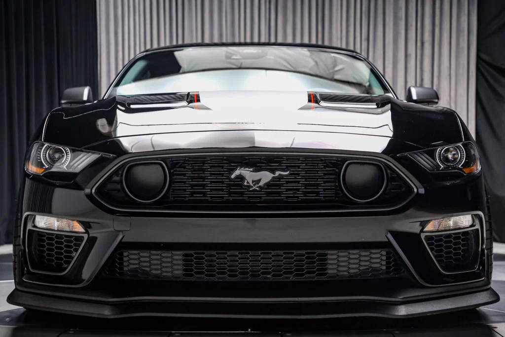 2022 Ford Mustang Mach 1 (S550) Handling Package, 13/30