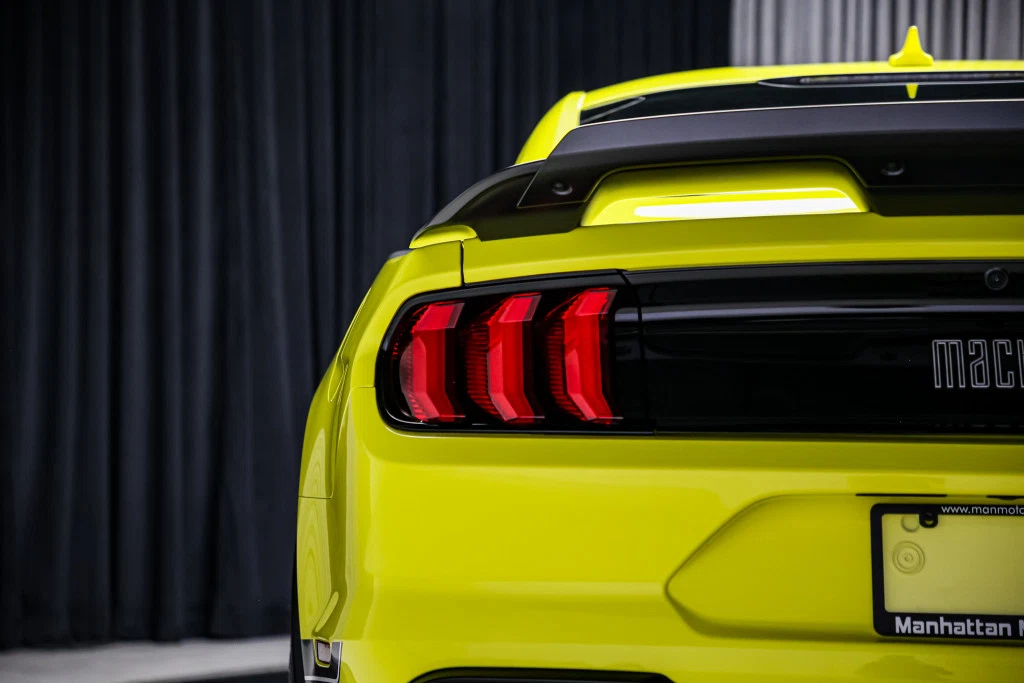 2021 Ford Mustang Mach 1 (S550) Handling Package, 18/30