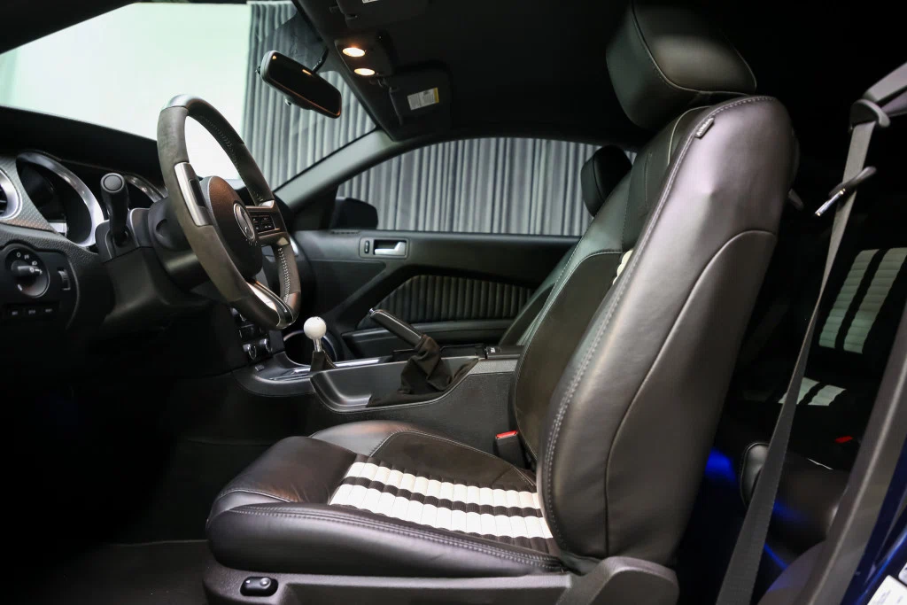 2010 Ford Mustang Shelby GT500 (S197), 23/30
