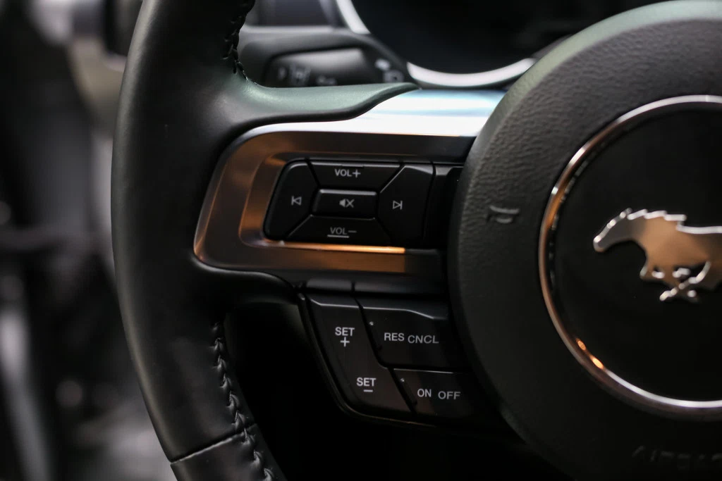 2022 Ford Mustang Mach 1 (S550) Premium Handling / Elite Package, 24/30