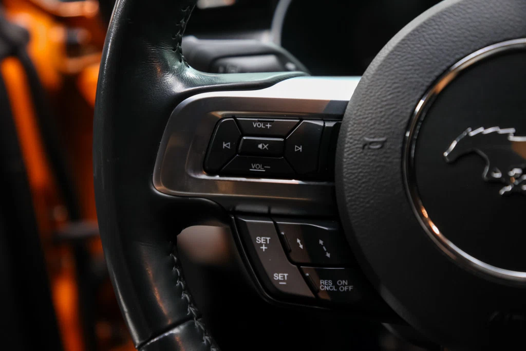 2020 Ford Mustang GT Premium Performance Package 2, 24/30