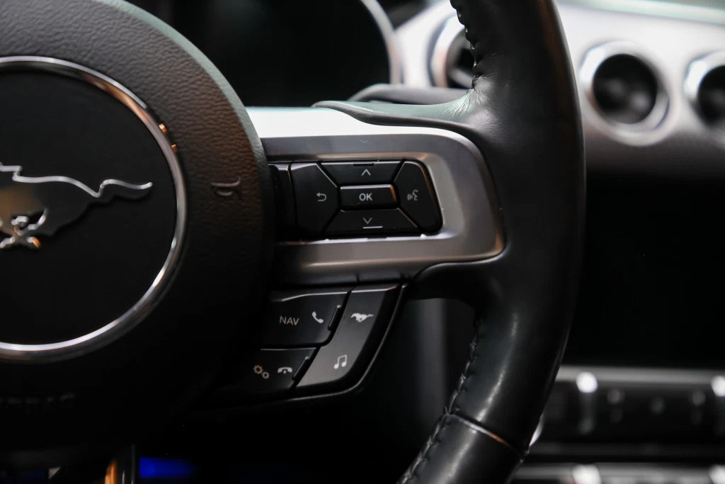 2020 Ford Mustang GT Premium Performance Package 2, 25/30