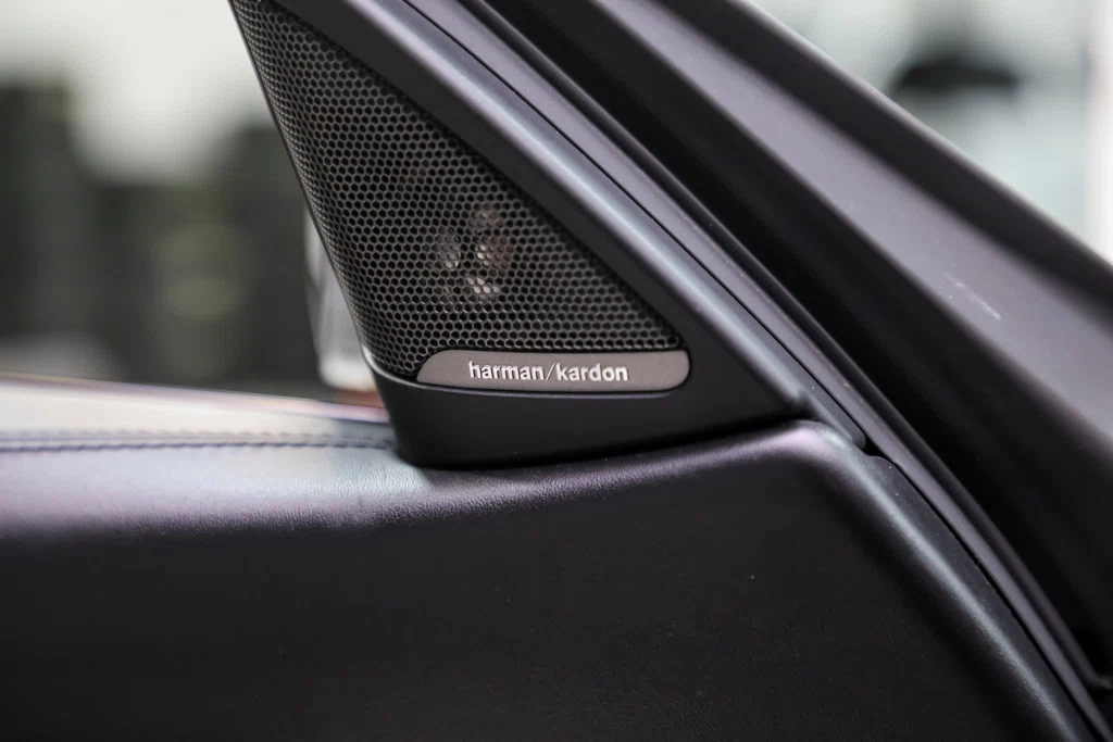 2016 BMW M4 (F82), 23/30