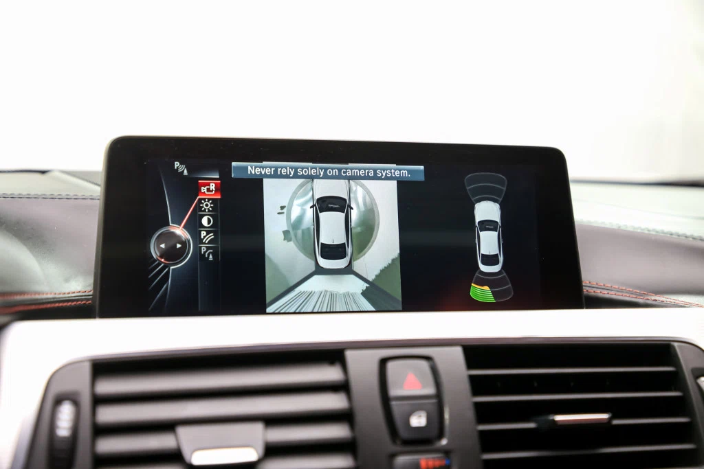 2016 BMW M4 (F82), 30/30