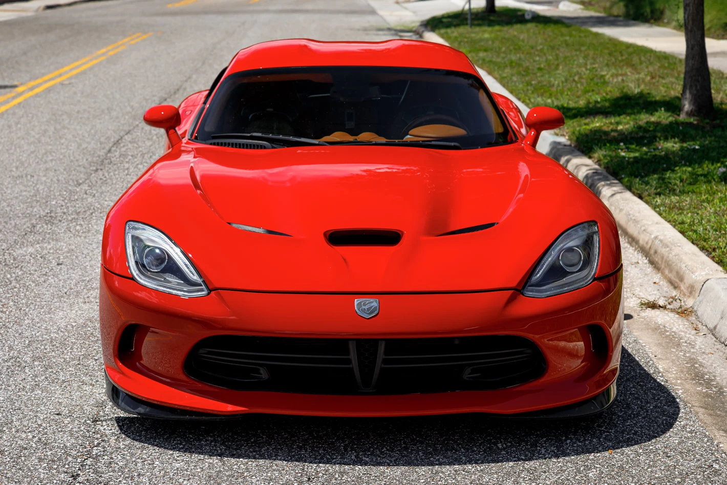2014 Dodge Viper SRT (VX I), 2/30