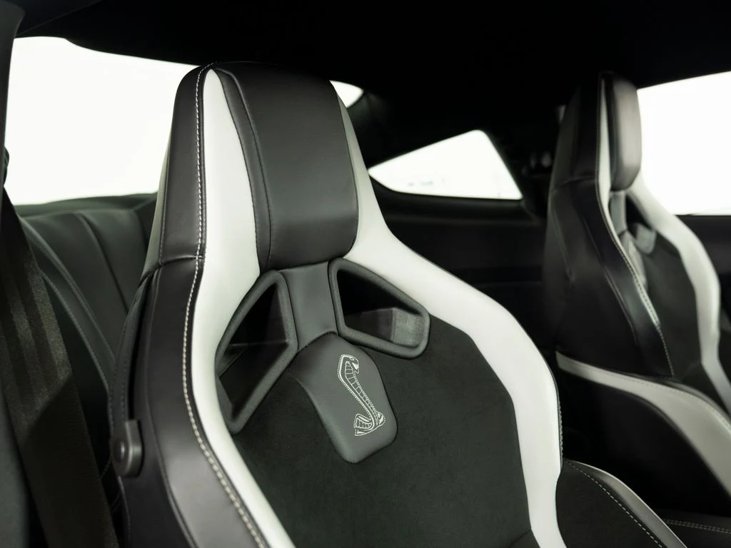 2021 Ford Shelby GT500, 19/30
