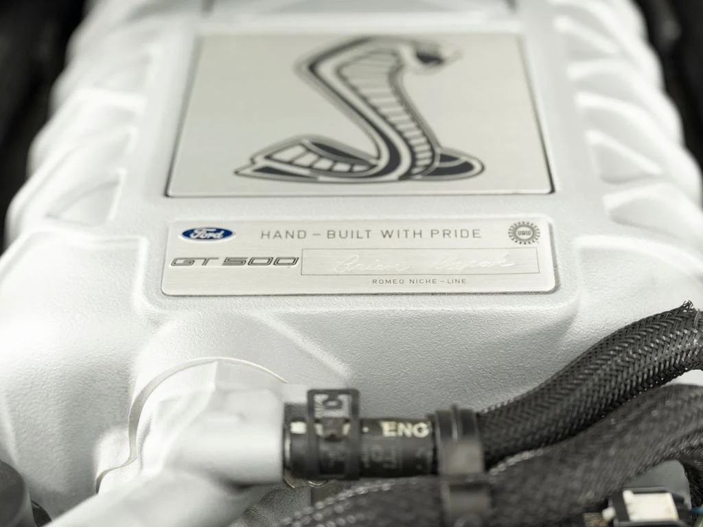 2021 Ford Shelby GT500, 29/30