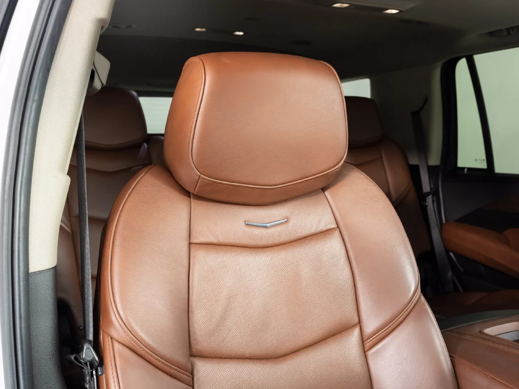 2019 Cadillac Escalade Luxury, 21/30