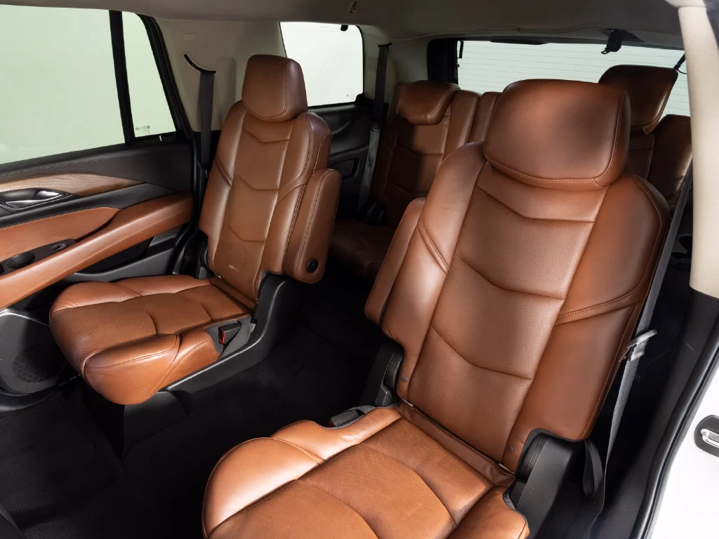 2019 Cadillac Escalade Luxury, 22/30