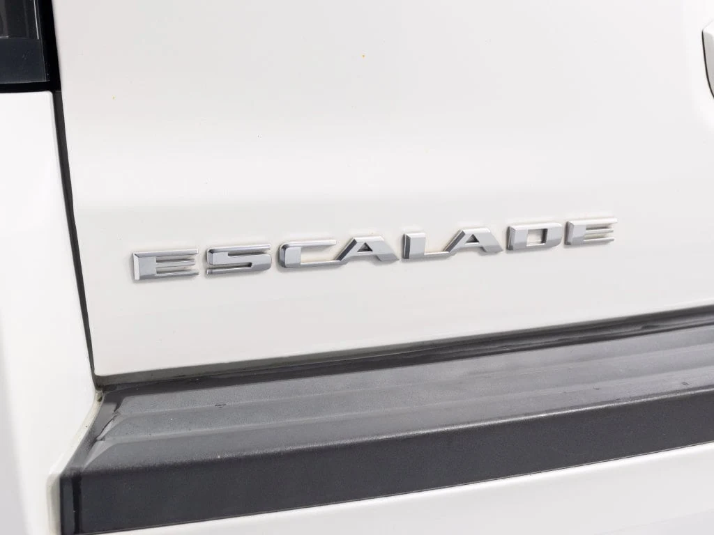 2019 Cadillac Escalade Luxury, 29/30