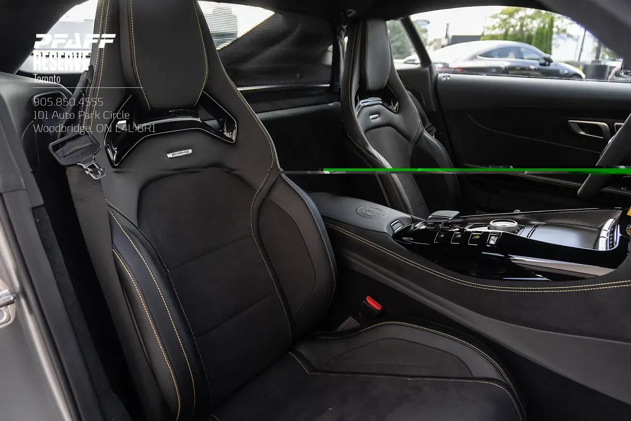 2020 Mercedes-Benz AMG GT R (C190), 16/30