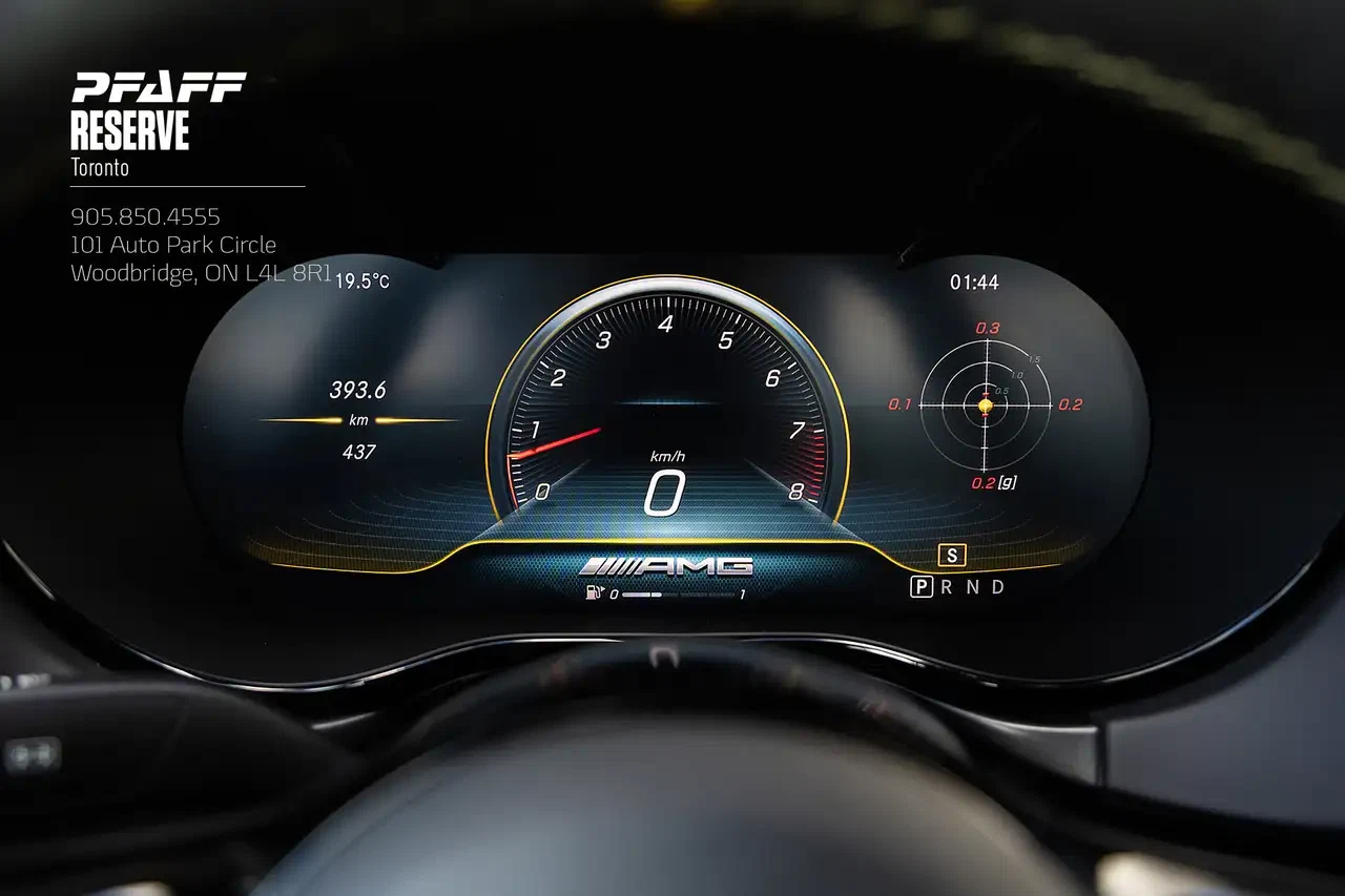 2020 Mercedes-Benz AMG GT R (C190), 17/30