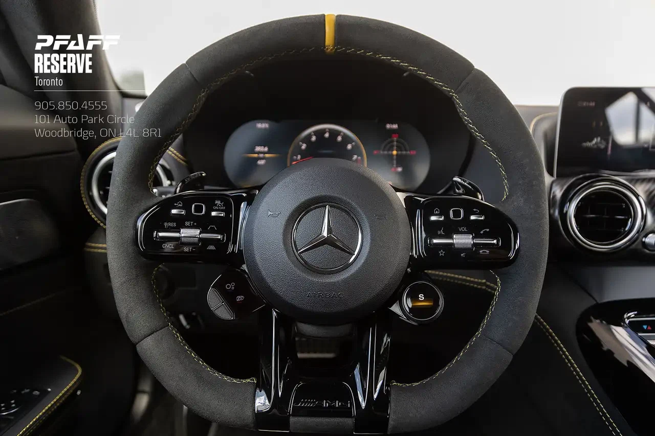 2020 Mercedes-Benz AMG GT R (C190), 18/30