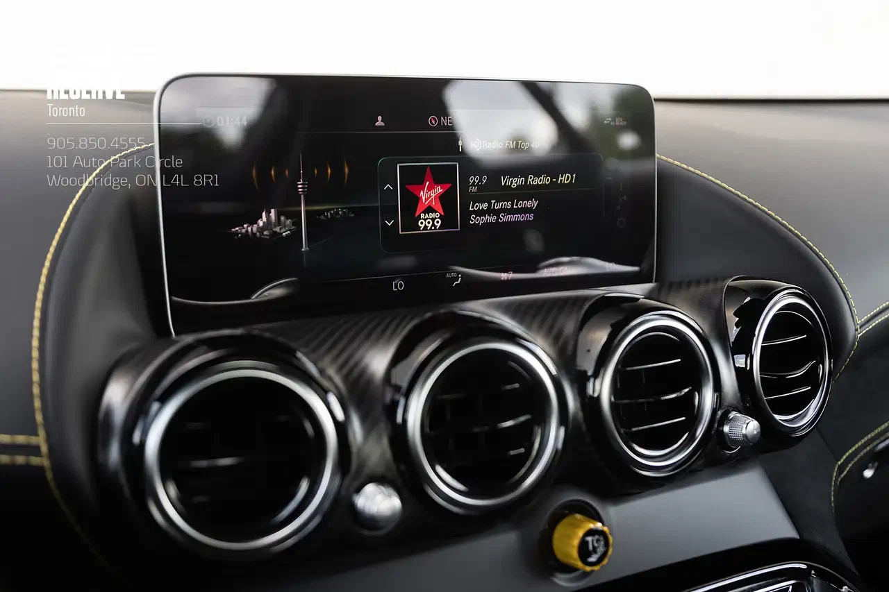 2020 Mercedes-Benz AMG GT R (C190), 19/30