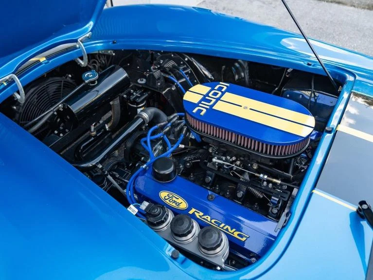 Backdraft Racing Cobra Replica, 10/20