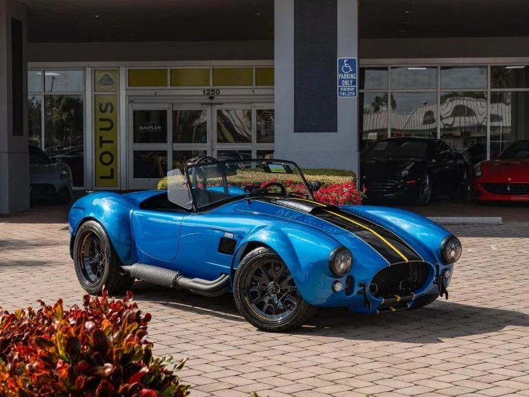 Backdraft Racing Cobra Replica, 16/20