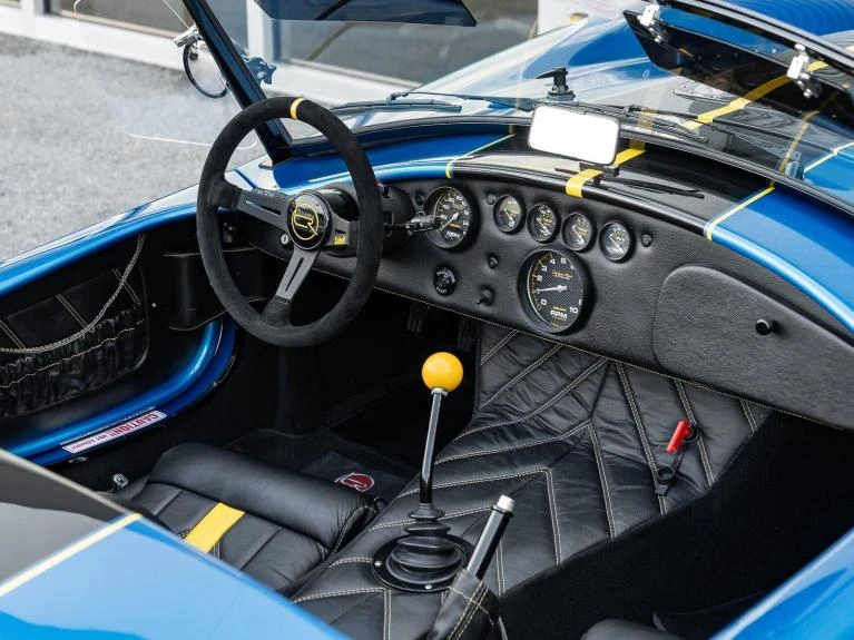 Backdraft Racing Cobra Replica, 17/20