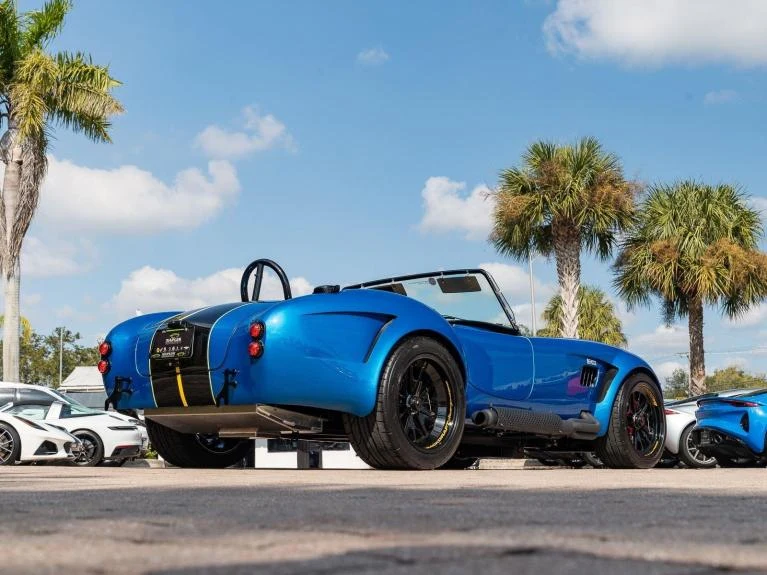 Backdraft Racing Cobra Replica, 18/20