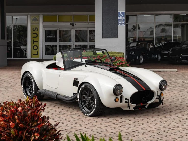 Backdraft Racing Cobra Replica, 3/20