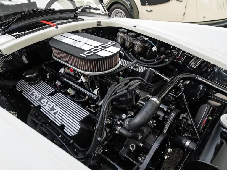 Backdraft Racing Cobra Replica, 8/20