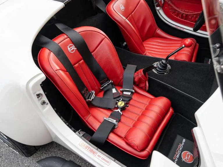 Backdraft Racing Cobra Replica, 14/20