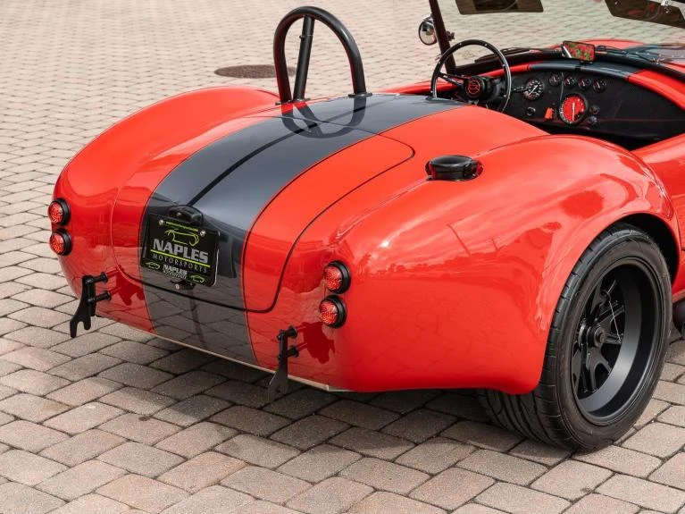 Backdraft Racing Cobra Replica, 13/20