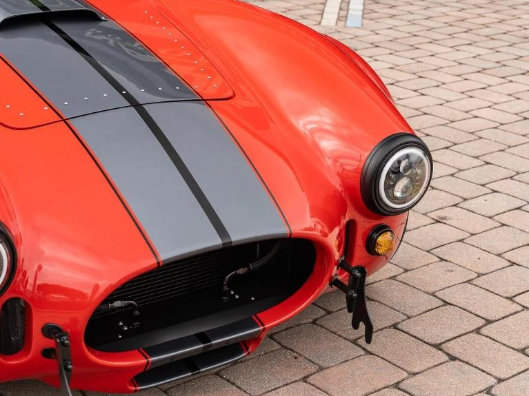Backdraft Racing Cobra Replica, 17/20