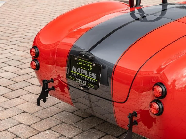 Backdraft Racing Cobra Replica, 18/20
