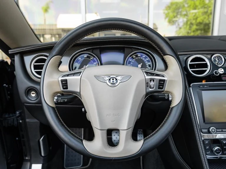 2014 Bentley Continental GTC Speed (2nd Generation), 14/20