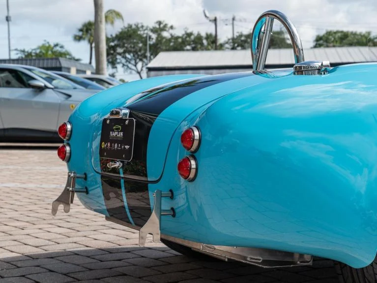 Backdraft Racing Cobra Replica, 17/20