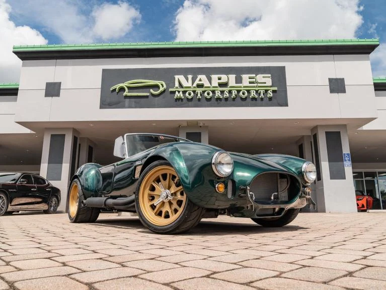 Backdraft Racing Cobra Replica, 5/20