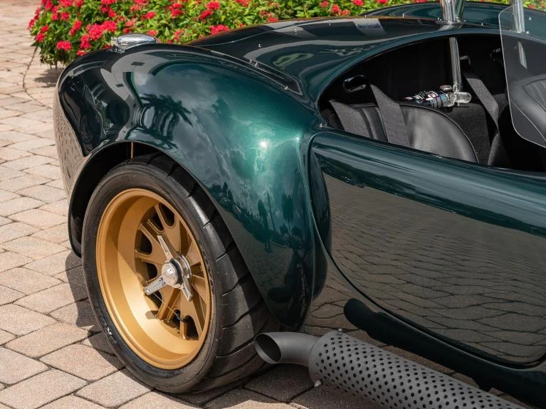 Backdraft Racing Cobra Replica, 13/20