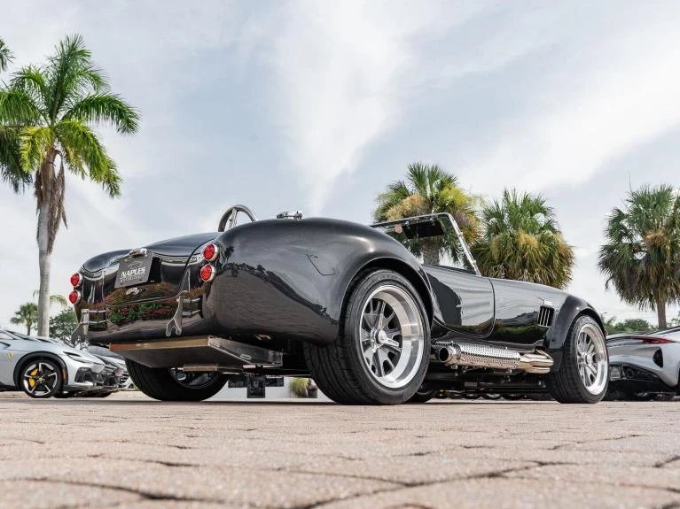 Backdraft Racing Cobra Replica, 17/20