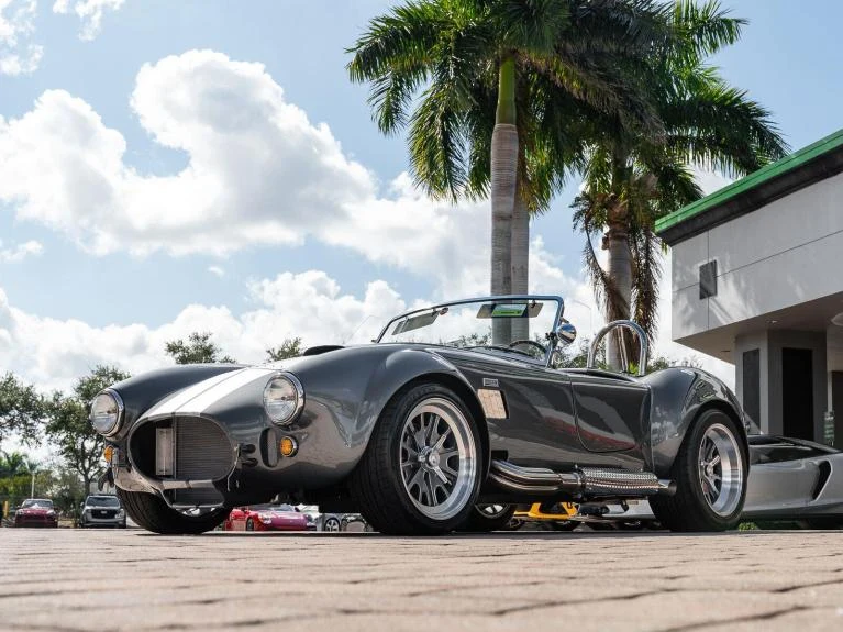 Backdraft Racing Cobra Replica, 8/20