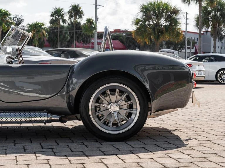 Backdraft Racing Cobra Replica, 16/20