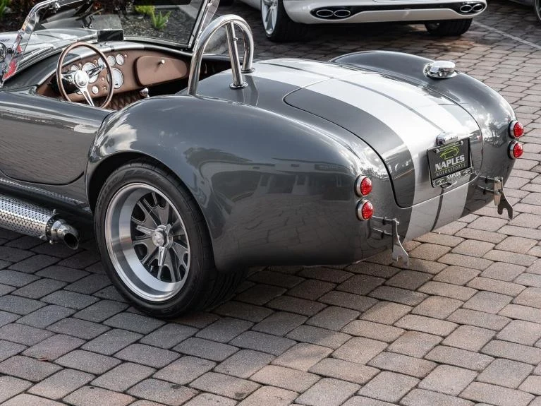 Backdraft Racing Cobra Replica, 18/20