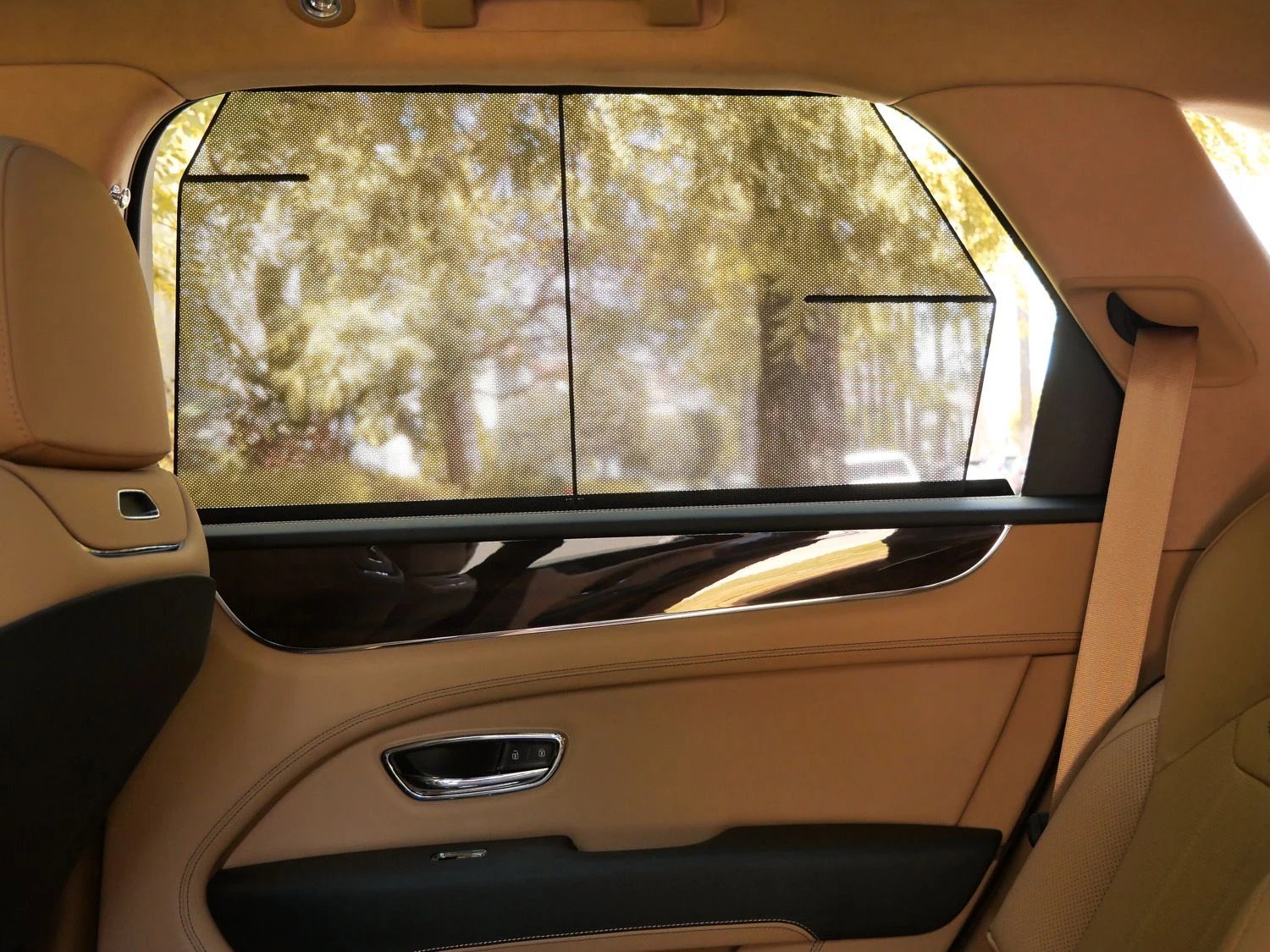 2026 Bentley Bentayga Hybrid interior, door panel, Camel