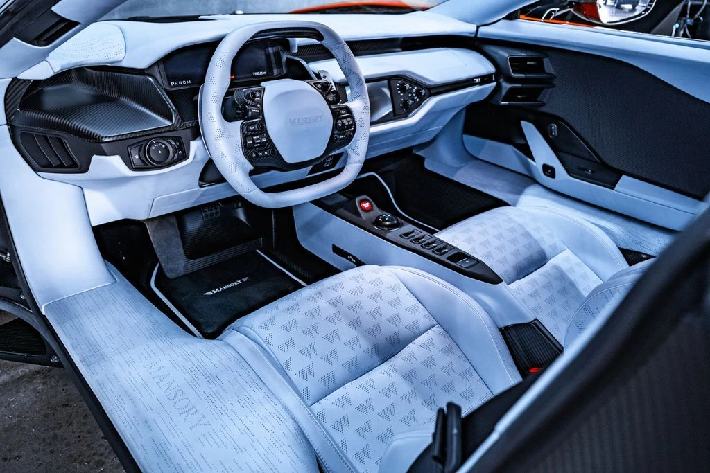 2018 Mansory Ford GT Le Mansory, 2/20