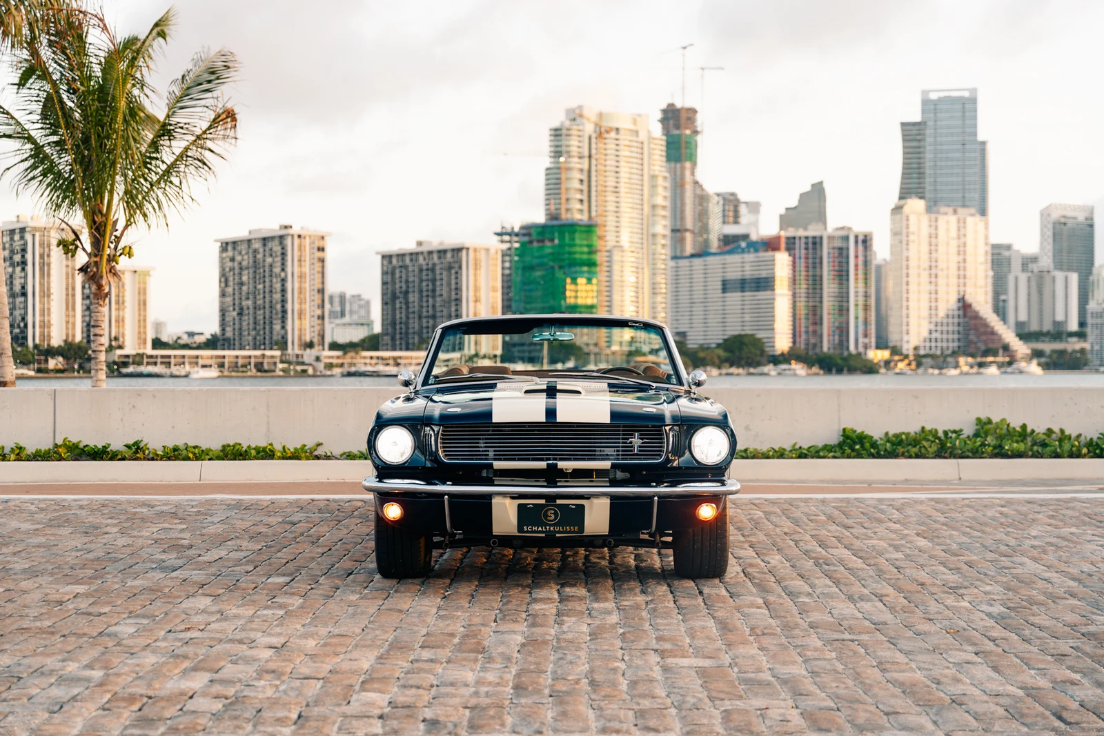 Shelby Mustang GT350 Convertible by Revology, 8/10