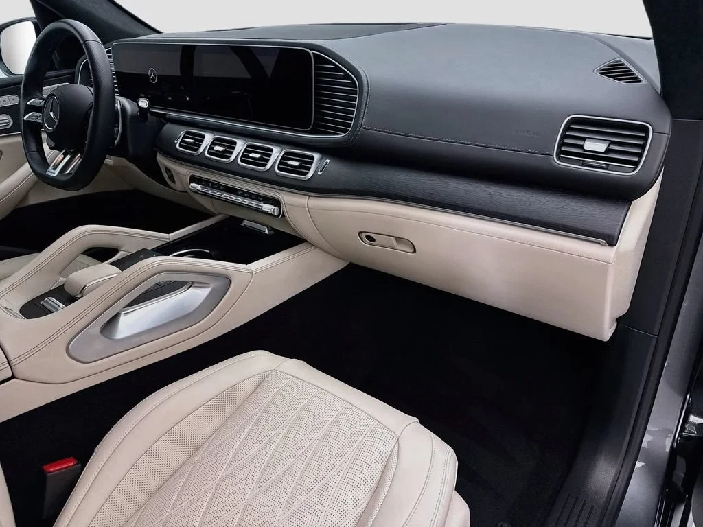 2025 Mercedes-Benz AMG GLS 63 4MATIC (X167), 16/20