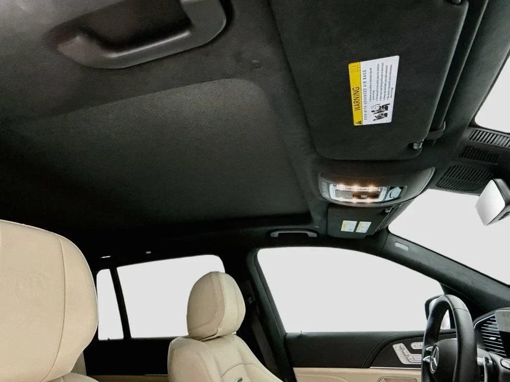 2025 Mercedes-Benz AMG GLS 63 4MATIC (X167), 17/20
