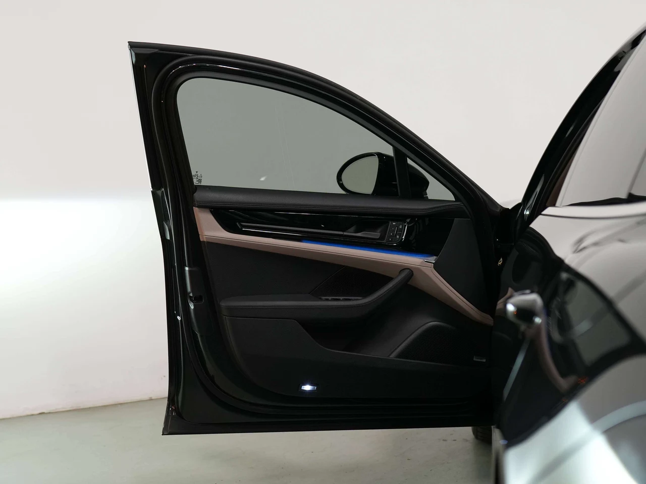 2025 Porsche Panamera 4 E-Hybrid (976), 9/30
