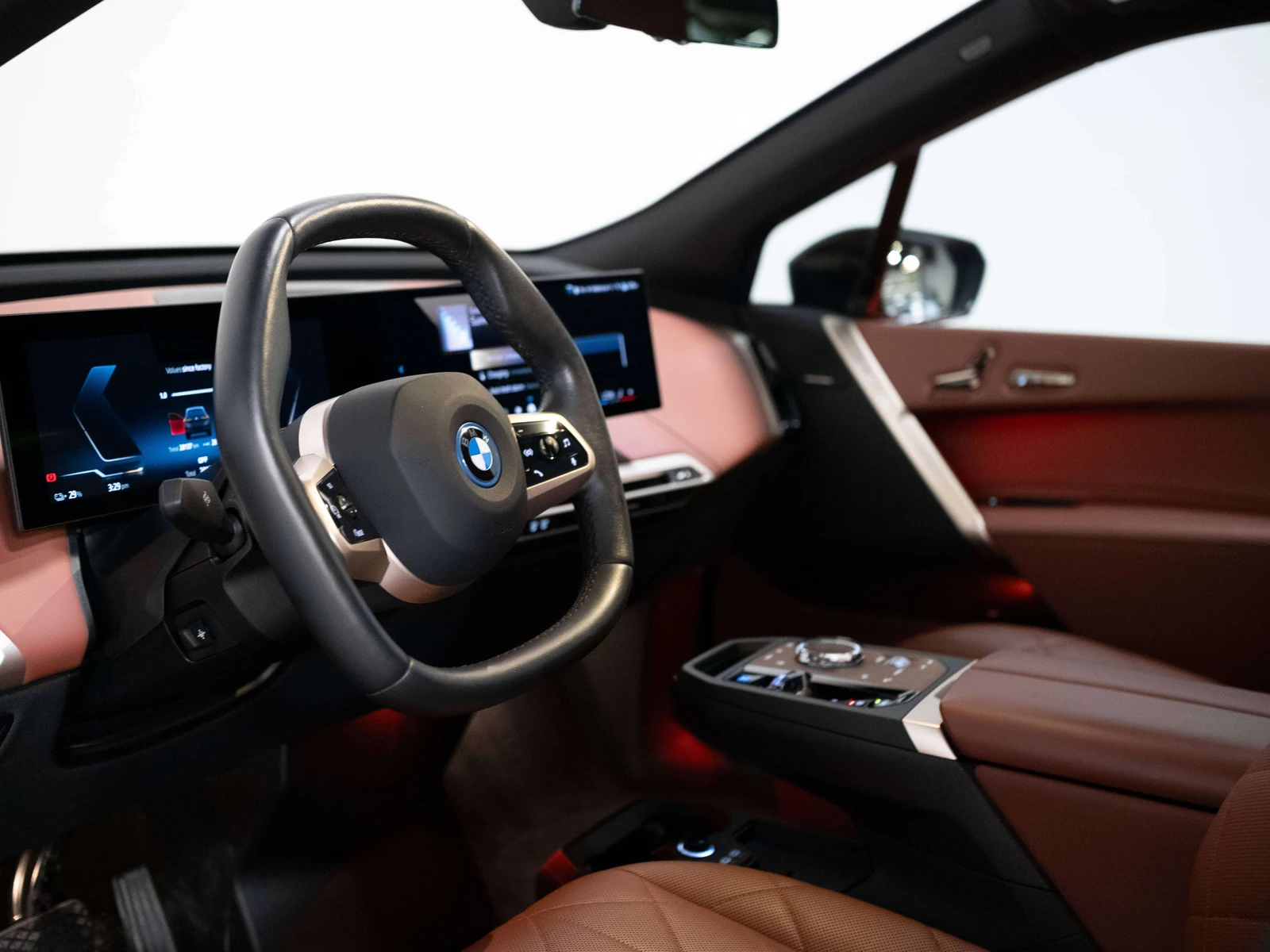 2025 BMW iX xDrive50 (I20), 9/30