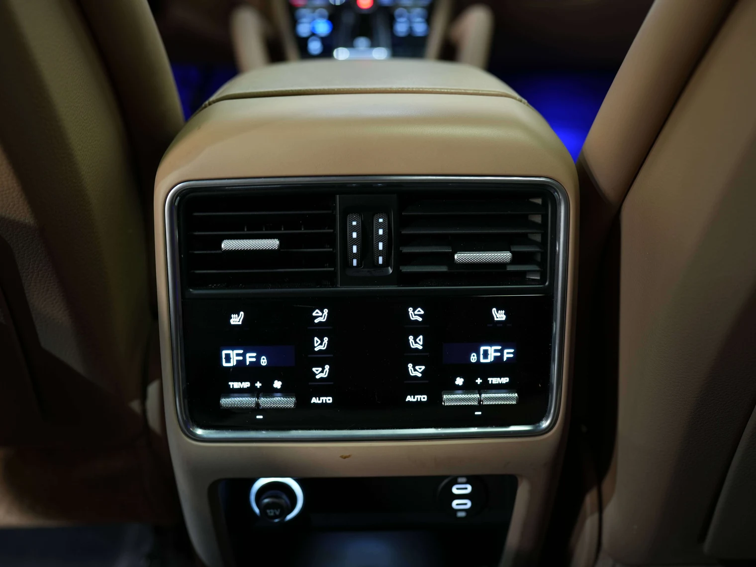 2023 Porsche Cayenne Platinum Edition (3rd Generation), 28/30