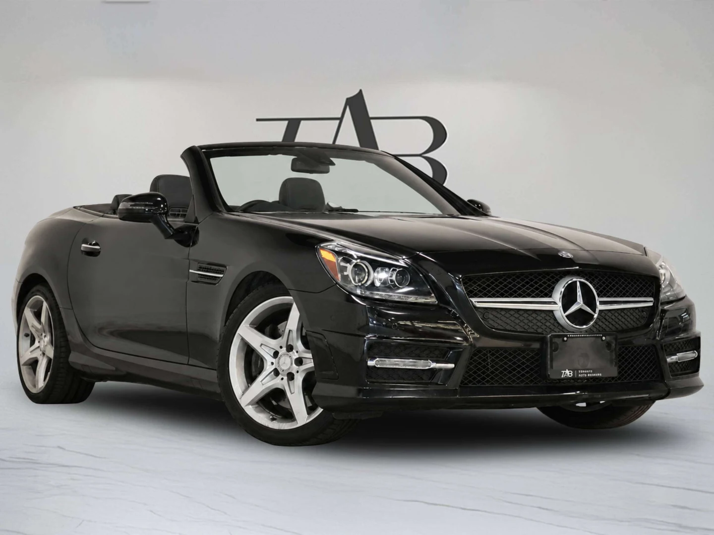2016 Mercedes-Benz SLK 300 (R172), 2/26